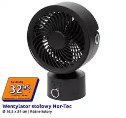 Action Wentylator stołowy Nor-Tec oferta