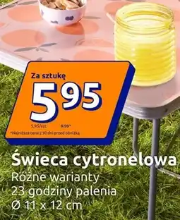 Action Świeca cytronelowa oferta