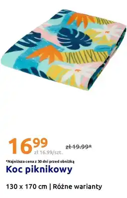 Action Koc piknikowy oferta