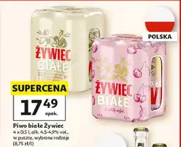 Auchan Piwo Żywiec Białe oferta
