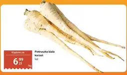 Biedronka Pietruszka biała korzeń oferta