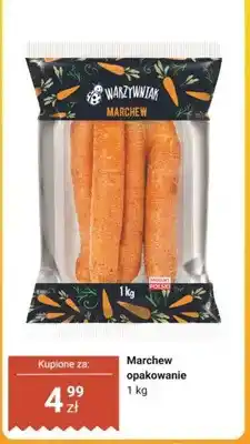Biedronka Marchew Warzywniak oferta
