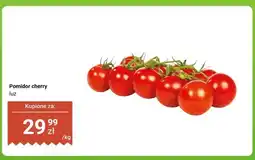 Dino Pomidor cherry luz oferta