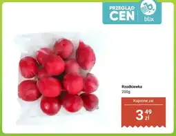 Dino Rzodkiewka oferta