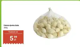 Dino Cebula dymka biała oferta