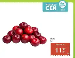 Dino Śliwka luz oferta