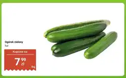 Dino Ogórek zielony luz oferta