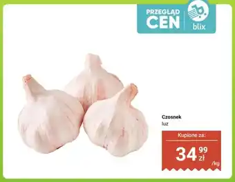 Dino Czosnek luz oferta