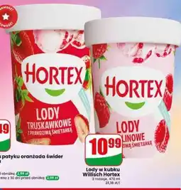 Dino Lody w kubku Wiilisich Hortex oferta