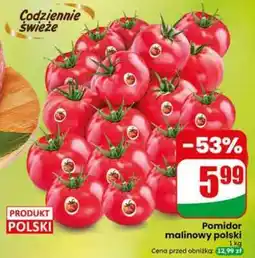 Dino Pomidor malinowy polski oferta