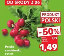 Kaufland Polska rzodkiewka pęczek oferta