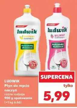 Kaufland LUDWIK Płyn do mycia naczyń oferta