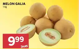 Stokrotka Market Melon galia oferta