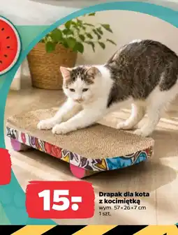 Netto Drapak dla kota oferta