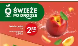 Żabka Nektarynka oferta