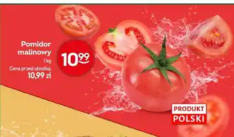 Żabka Pomidor malinowy polski oferta