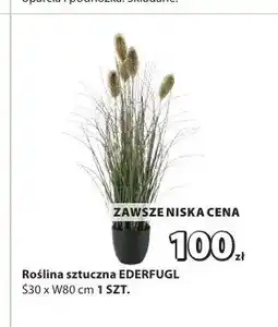 JYSK Roślina sztuczna EDERFUGL S30xW80cm oferta