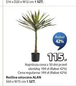JYSK Roślina sztuczna ALAN S60 x W75cm oferta