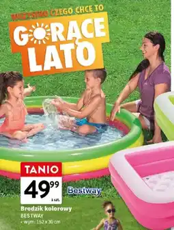 Intermarche Brodzik kolorowy Bestway wym. 152x30cm oferta