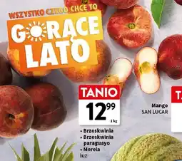 Intermarche Brzoskwinia luz oferta