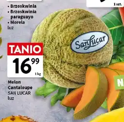 Intermarche Melon Cantaloupe San Lucar luz oferta