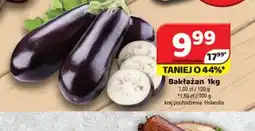 Delfin Bakłażan oferta
