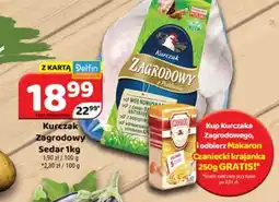 Delfin Sedar Kurczak Zagrodowy oferta