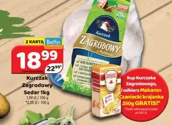 Delfin Sedar Kurczak Zagrodowy oferta