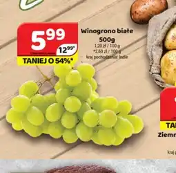 Delfin Winogrono białe oferta