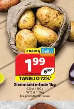 Delfin Ziemniaki młode oferta