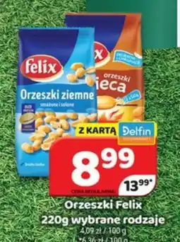 Delfin Felix Orzeszki oferta