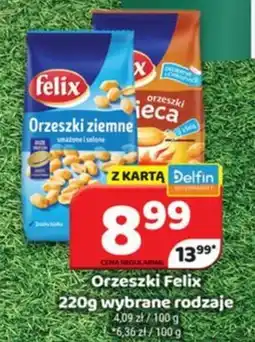 Delfin Orzeszki Felix oferta