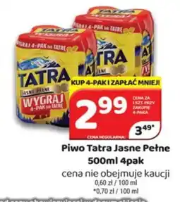 Delfin Tatra Piwo Jasne Pełne oferta