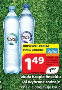 Delfin Woda Kropla Beskidu oferta