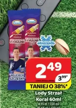 Delfin Koral Lody Strzał oferta