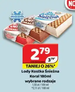 Delfin Koral Lody Kostka Śnieżna oferta