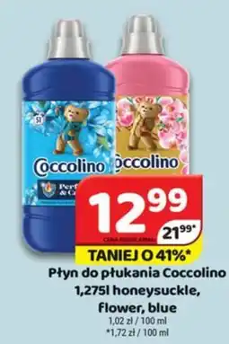 Delfin Coccolino Płyn do płukania oferta