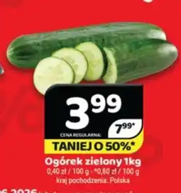 Delfin Ogórek zielony oferta