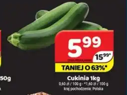 Delfin Cukinia oferta