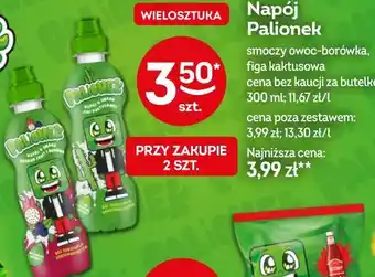 Żabka Napój Palionek oferta