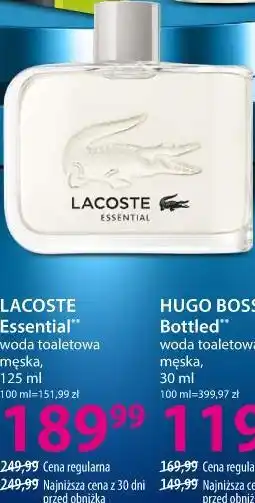 Hebe LACOSTE Essential woda toaletowa męska oferta