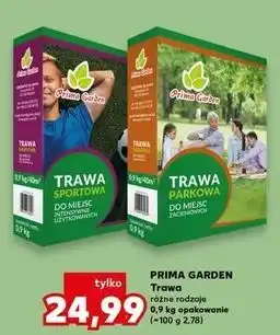 Trawa sportowa Prima Garden