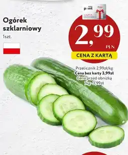 Market Point Ogórek szklarniowy polski oferta