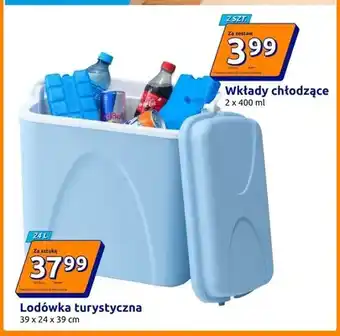 Action Wkłady chłodzące 2-pak oferta