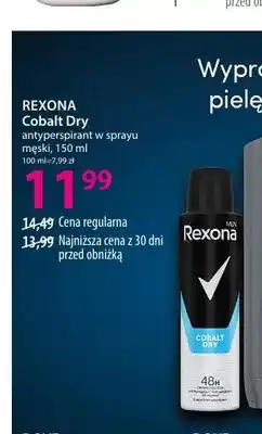 Hebe Antyperspirant w sprayu męski REXONA Cobalt Dry oferta