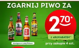 Żabka Piwo Harnaś oferta