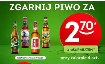 Żabka Piwo Harnaś oferta