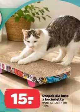 Netto Drapak dla kota z kocimiętką oferta