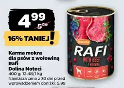 Netto Karma mokra dla psów z wołowiną Rafi oferta