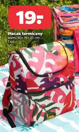 Netto Plecak termiczny oferta